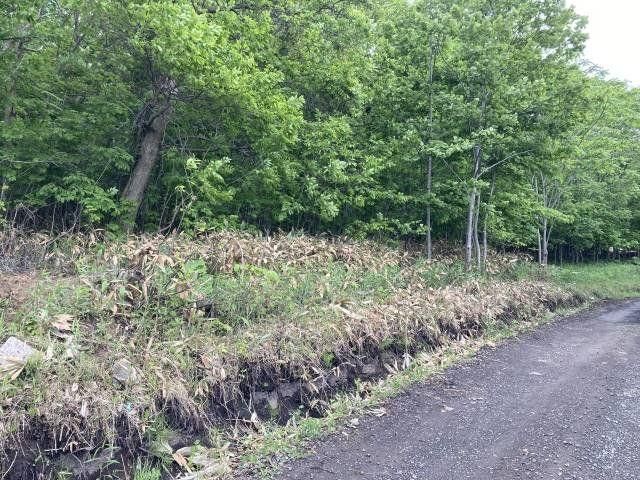 Land for Sale in Minami-ku, Sapporo, 231 sqm - Thumbnail 2
