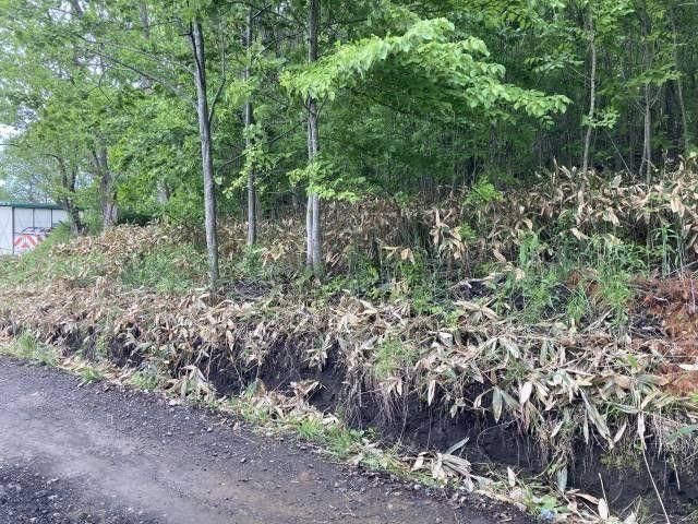 Land for Sale in Minami-ku, Sapporo, 231 sqm - Thumbnail 3