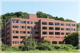 Land for Sale in Fukuichi, Yonago City, Tottori - 203.95 sqm - Thumbnail 3