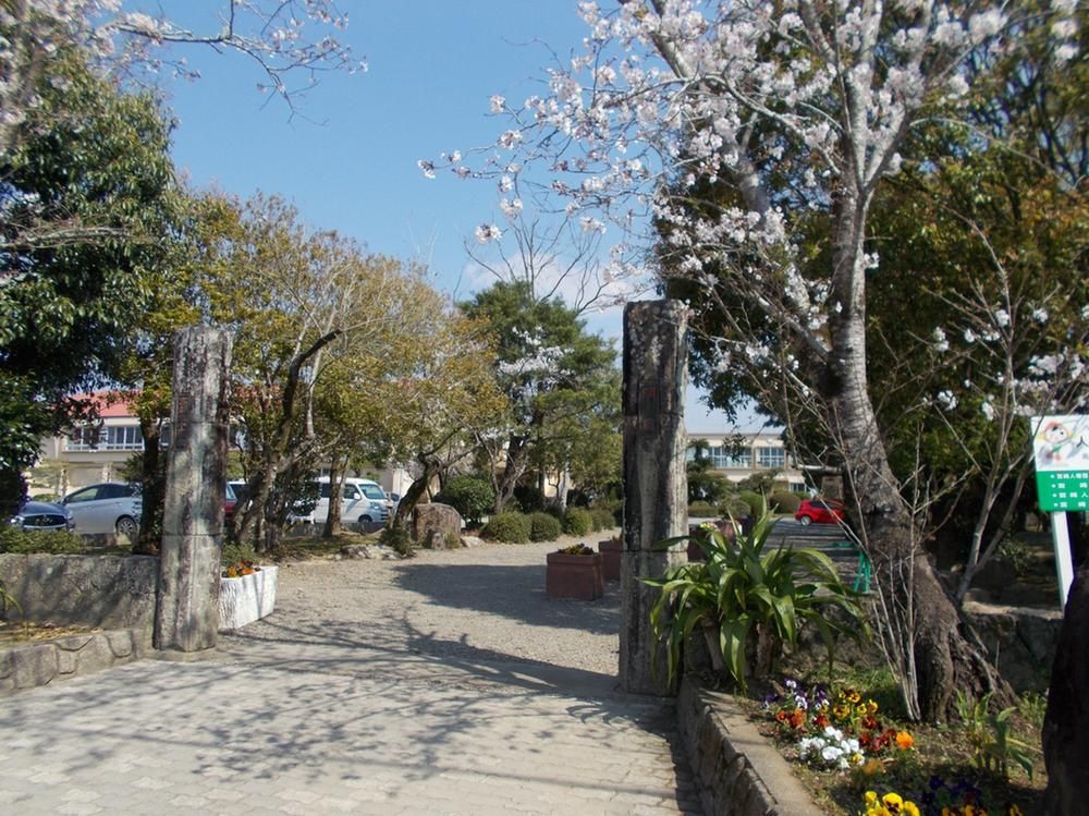 Land for Sale in Takanabe Town, Miyazaki – 279.51-279.74 m² - Thumbnail 2