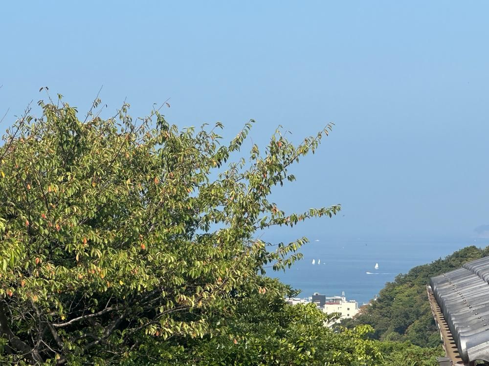 Land for Sale in Hayama with Ocean and Mount Fuji Views - Thumbnail 4