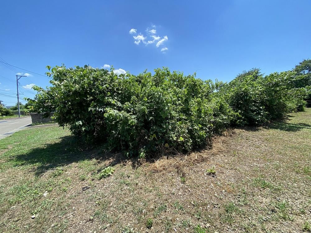 1,464 sqm Mountain View Land for Sale in Sendai's Akiu - Thumbnail 4