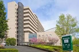 Modern 1LDK Apartment in Shirokanedai, Minato, Tokyo - Thumbnail 3