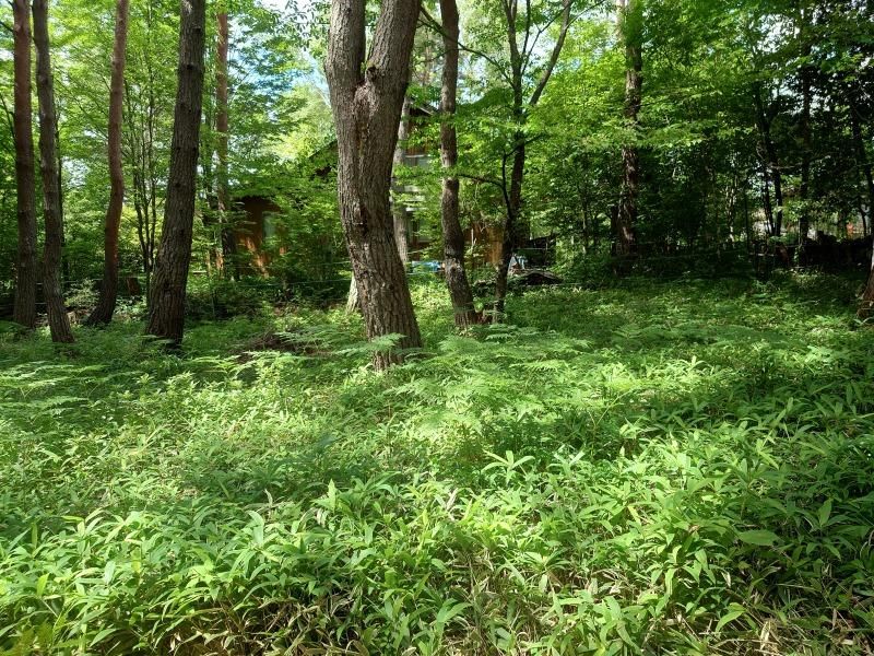 Land for Sale in Toyohira, Chino City - 1,016 sqm - Thumbnail 3