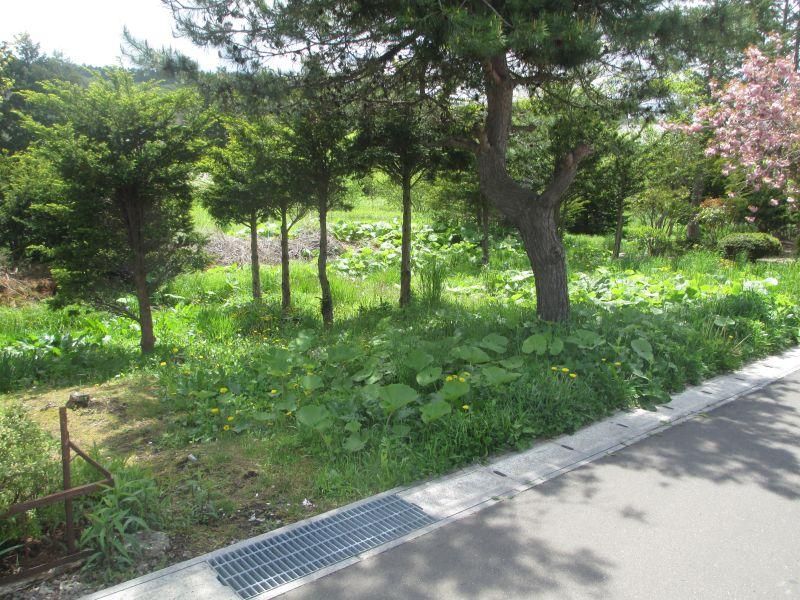 Spacious 2,323m2 Land for Sale in Hakodate, Hokkaido - Thumbnail 4