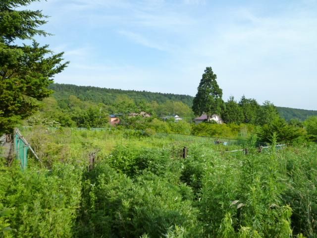 Spacious 2,323m2 Land for Sale in Hakodate, Hokkaido - Thumbnail 2