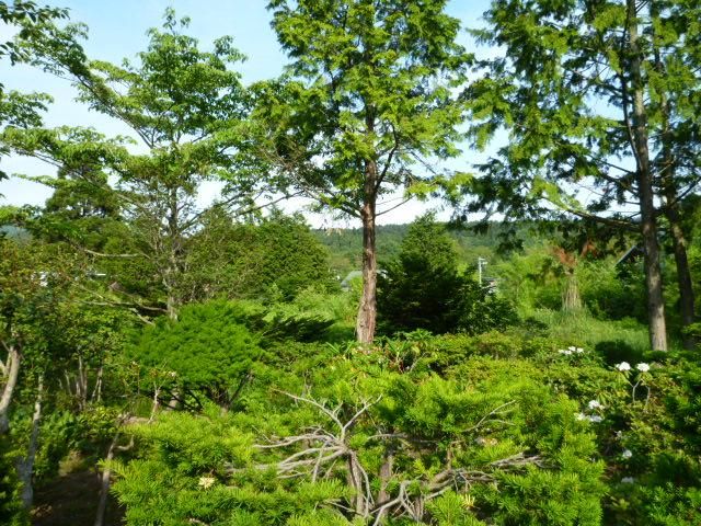 Spacious 2,323m2 Land for Sale in Hakodate, Hokkaido - Thumbnail 3
