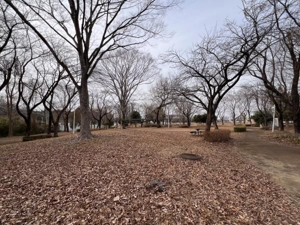 Large 2984 sqm Land for Sale in Tsukuba, Ibaraki - Thumbnail 3