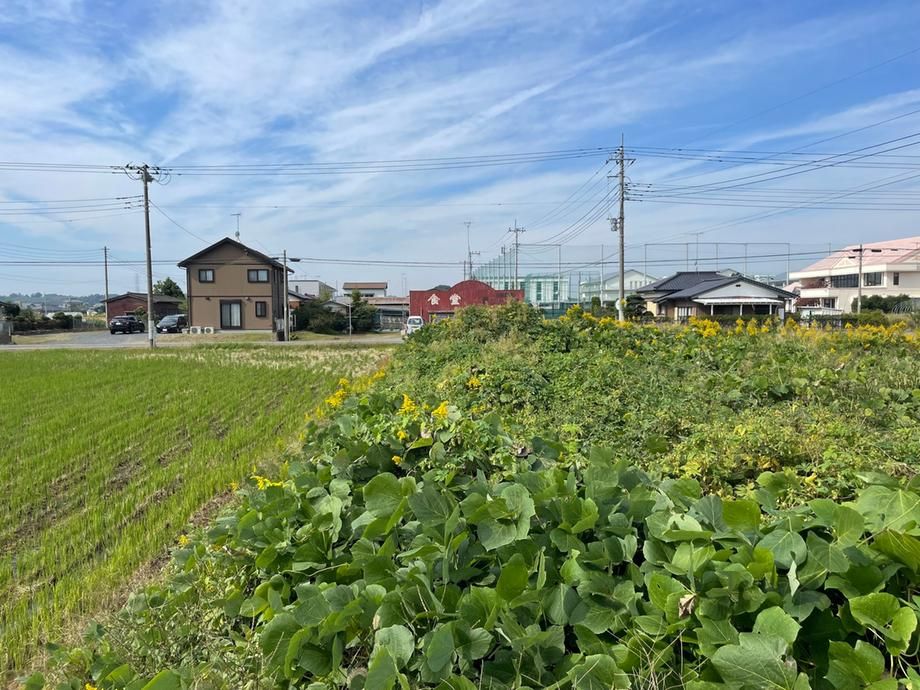 Land for Sale in Tsukuba City, Ibaraki - 1690 sqm - Thumbnail 3