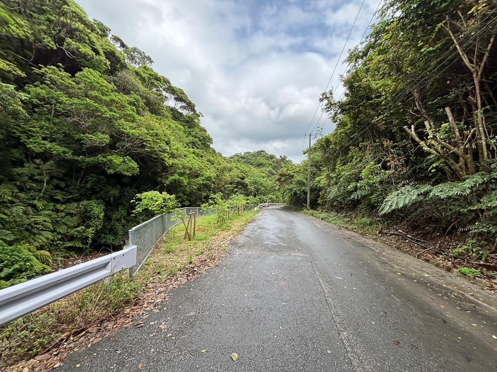 Large Land for Sale in Motobu Town, Okinawa - 9,999 sqm - Thumbnail 4