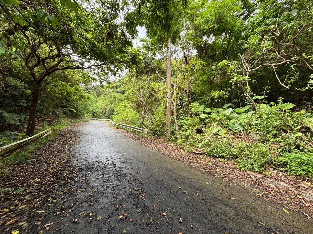 Large Land for Sale in Motobu Town, Okinawa - 9,999 sqm - Thumbnail 2