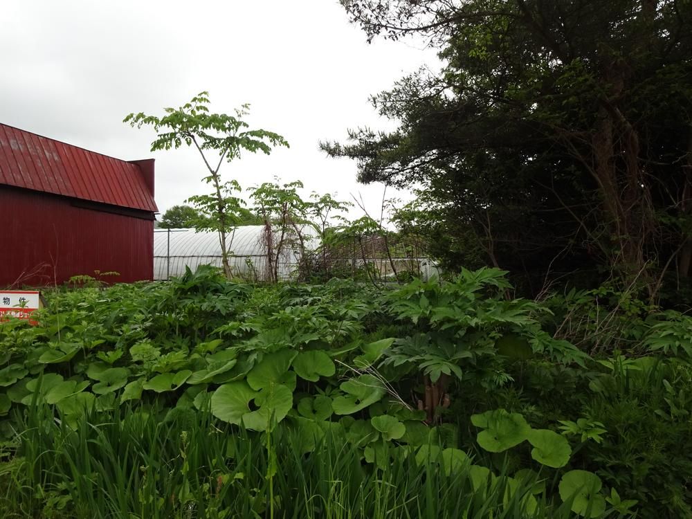328 sqm Building Lot in Nanae, Hokkaido for 300,000 Yen - Thumbnail 3