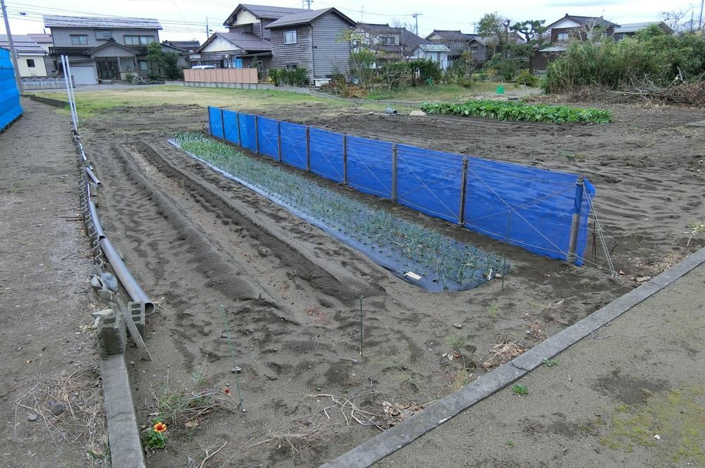 894m2 Building Plot in Joetsu, Niigata for 11 Million Yen - Thumbnail 3