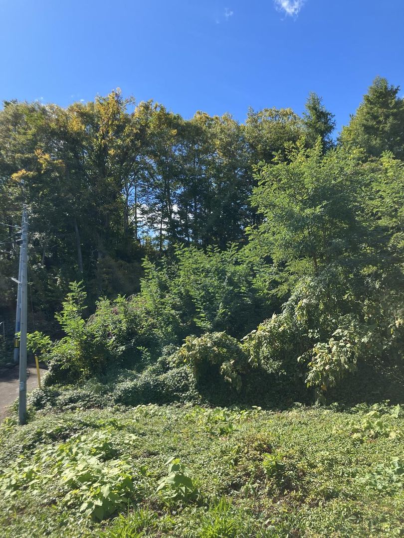 349m2 Building Land for Sale in Matsugae, Otaru, Hokkaido - Thumbnail 4