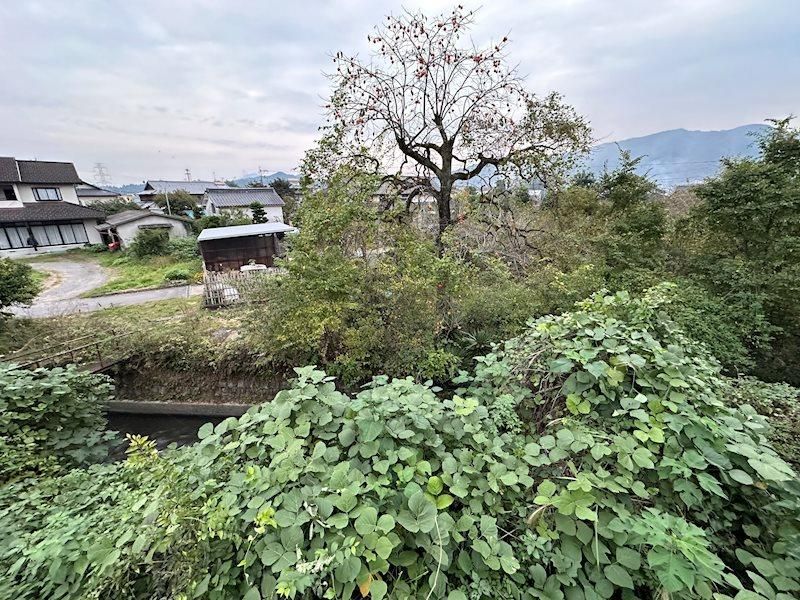 Land for Sale in Kosa Town, Kumamoto - 1070 sqm - Thumbnail 2