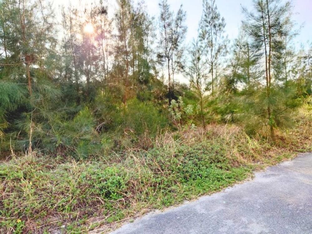 275 sqm Land for Sale in Onna Village, Okinawa - Thumbnail 3