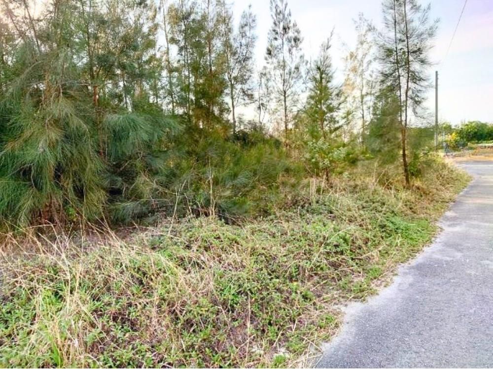 275 sqm Land for Sale in Onna Village, Okinawa - Thumbnail 2