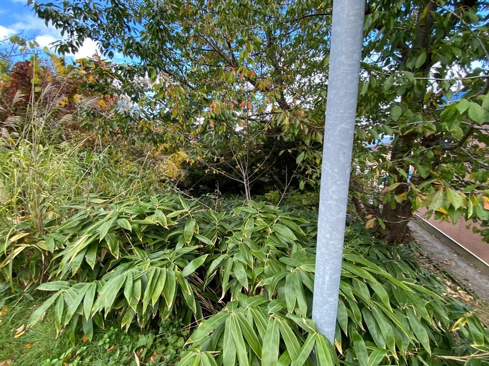 Land for Sale in Otaru City Hokkaido 1009 sqm - Thumbnail 4