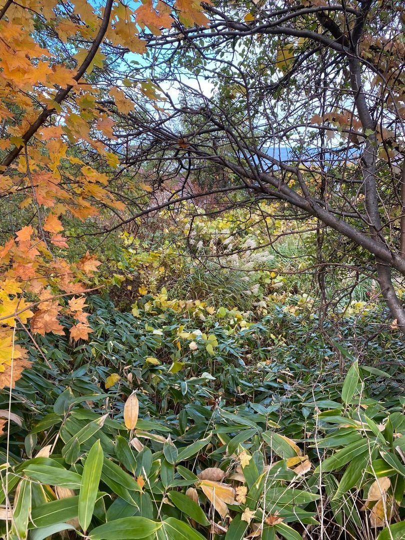 Land for Sale in Otaru City Hokkaido 1009 sqm - Thumbnail 3