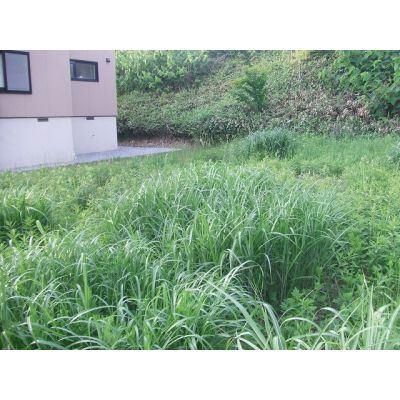 Land for Sale in Forlist New Town, Hakodate, Hokkaido - 363m² - Thumbnail 2
