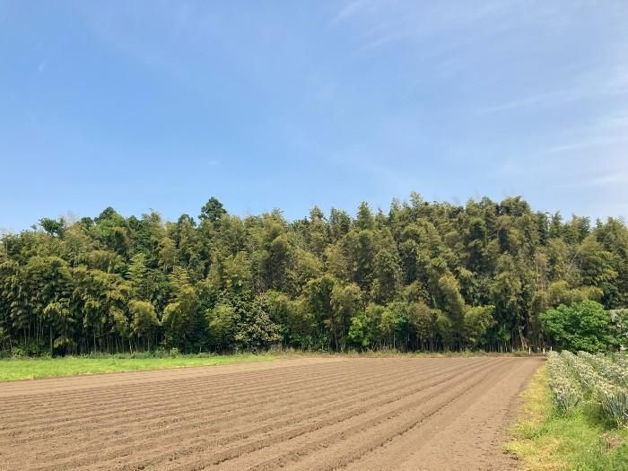 448 sqm Land for Sale in Numazaki, Tsukuba City, Ibaraki - Thumbnail 4