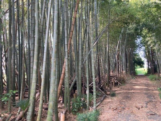 448 sqm Land for Sale in Numazaki, Tsukuba City, Ibaraki - Thumbnail 2
