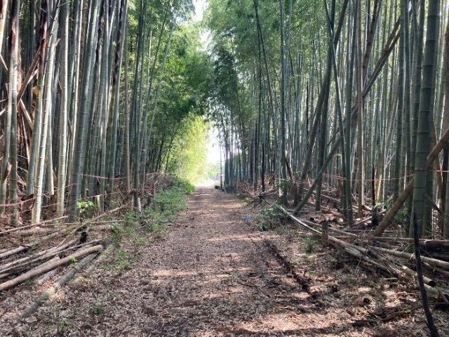 448 sqm Land for Sale in Numazaki, Tsukuba City, Ibaraki - Thumbnail 3