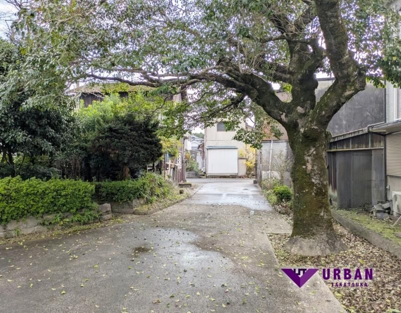 Land for Sale in Miyazaki City - 881m2 - 30 Million Yen - Thumbnail 4