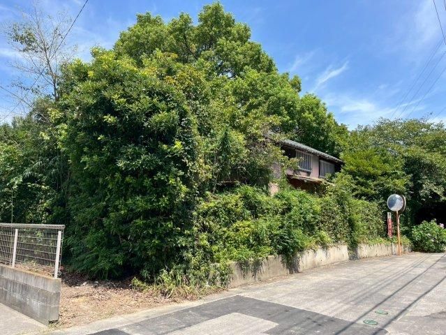 Land for Sale in Toride, Ibaraki - 2,838 sqm - Thumbnail 2