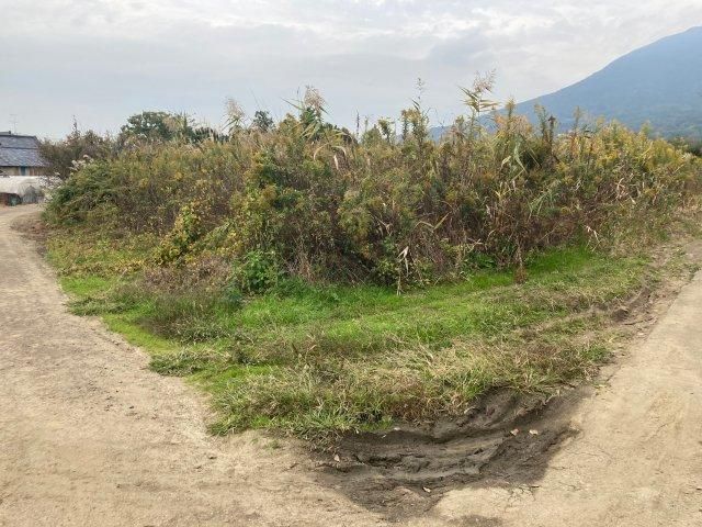 Agricultural Land for Sale in Tsukuba, Ibaraki - 1015 sqm - Thumbnail 4