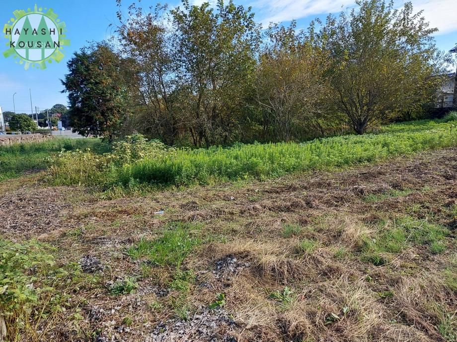 Land for Sale in Hiji Town Oita 3037 sqm - Thumbnail 2