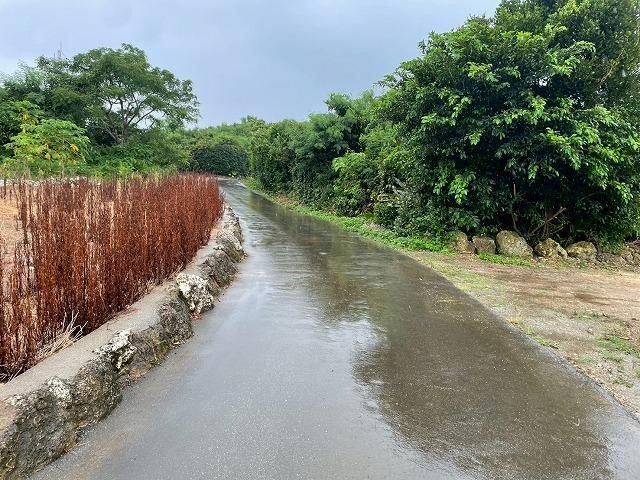 Land for Sale in Motobu Town, Okinawa - 543 sqm - Thumbnail 4