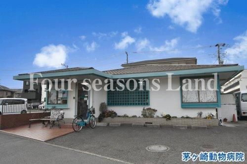 201.74m2 Land for Sale in Matsugaoka, Chigasaki, Kanagawa - Thumbnail 4