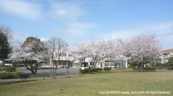 210.28 sqm Building Plot in Mito City, Ibaraki - Thumbnail 2