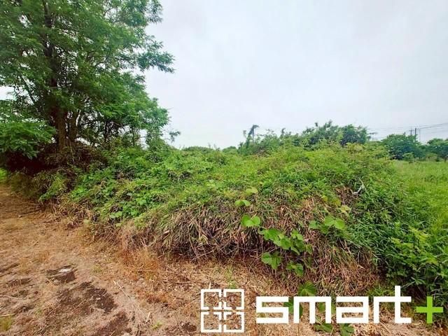 226 sqm Land for Sale in Omitama City, Ibaraki - Thumbnail 2