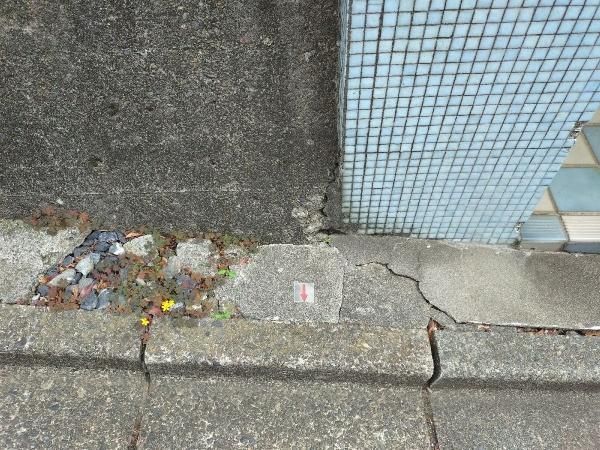166m2 Land for Sale in Setagaya's Oyama District - Thumbnail 4