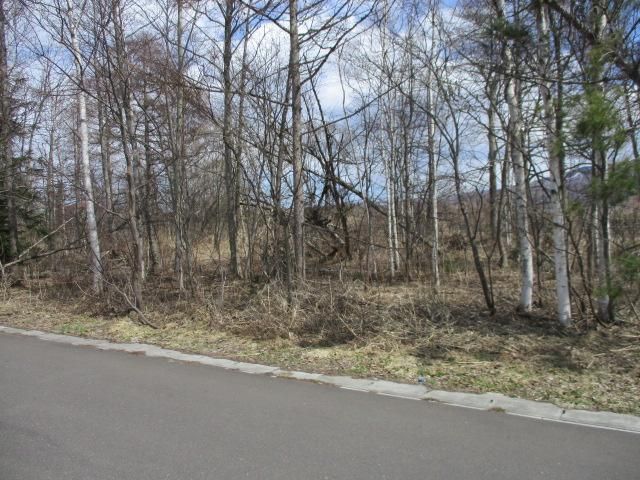 Land for Sale in Nanae, Hokkaido – 438 sqm Near Onuma Park - Thumbnail 3