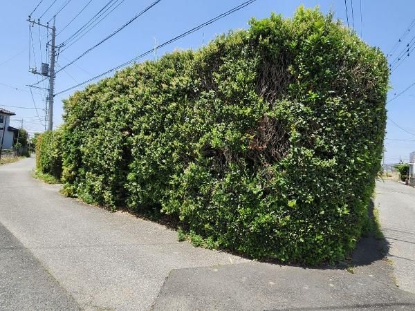 Land for Sale in Misato City Near Misato-Chuo Station - Thumbnail 3