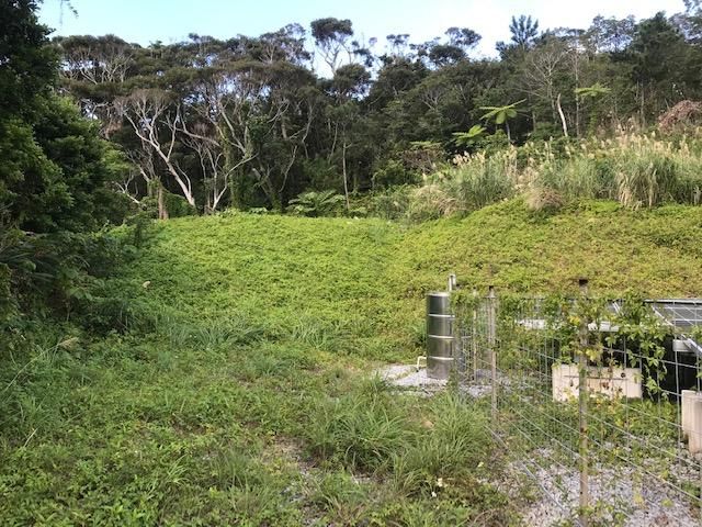 Land with Solar Panels in Motobu Town, Okinawa - 9,897 sqm - Thumbnail 2