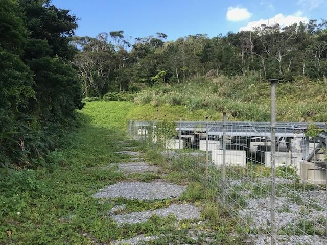 Land with Solar Panels in Motobu Town, Okinawa - 9,897 sqm - Thumbnail 3