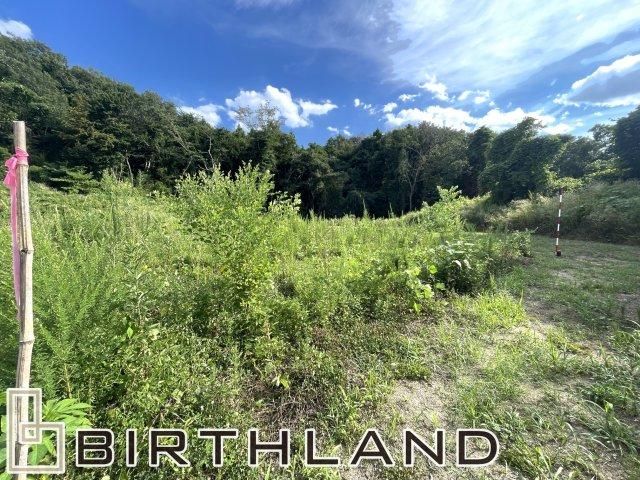 Land for Sale in Koriyama, Fukushima - 535 sqm Plot - Thumbnail 4