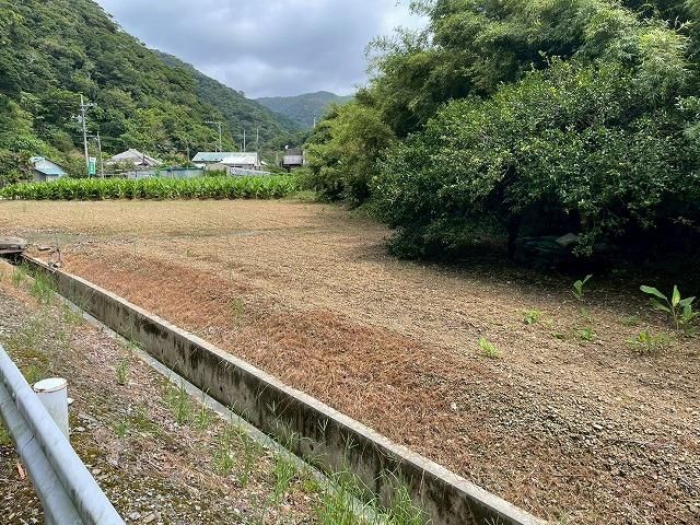 Land for Sale in Nago City, Okinawa - 1,865 sqm - Thumbnail 4
