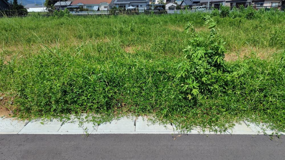 Land for Sale in Takamatsu-cho, Miyazaki - 189-235 m² - Thumbnail 3