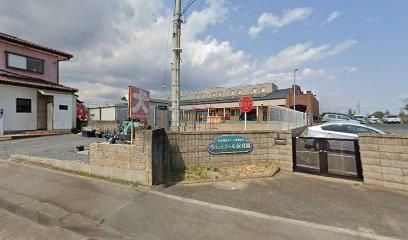 Land for Sale in Mito, Ibaraki - 307.6 sqm - Thumbnail 2