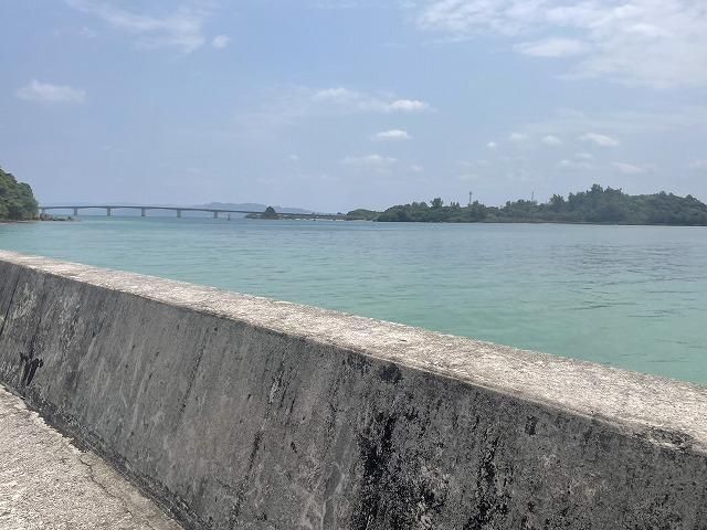 Land for Sale in Unten, Nakijin, Okinawa - 245m2 - Thumbnail 4