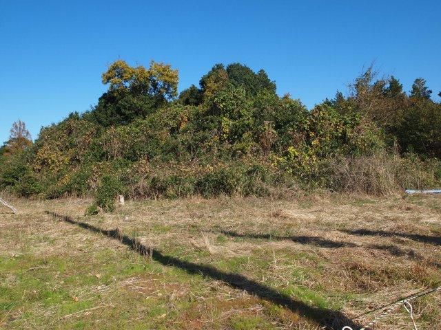 Land for Sale in Tsukuba City, Ibaraki - 1,186 sqm - Thumbnail 4