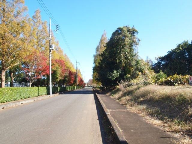 Land for Sale in Tsukuba City, Ibaraki - 1,186 sqm - Thumbnail 3