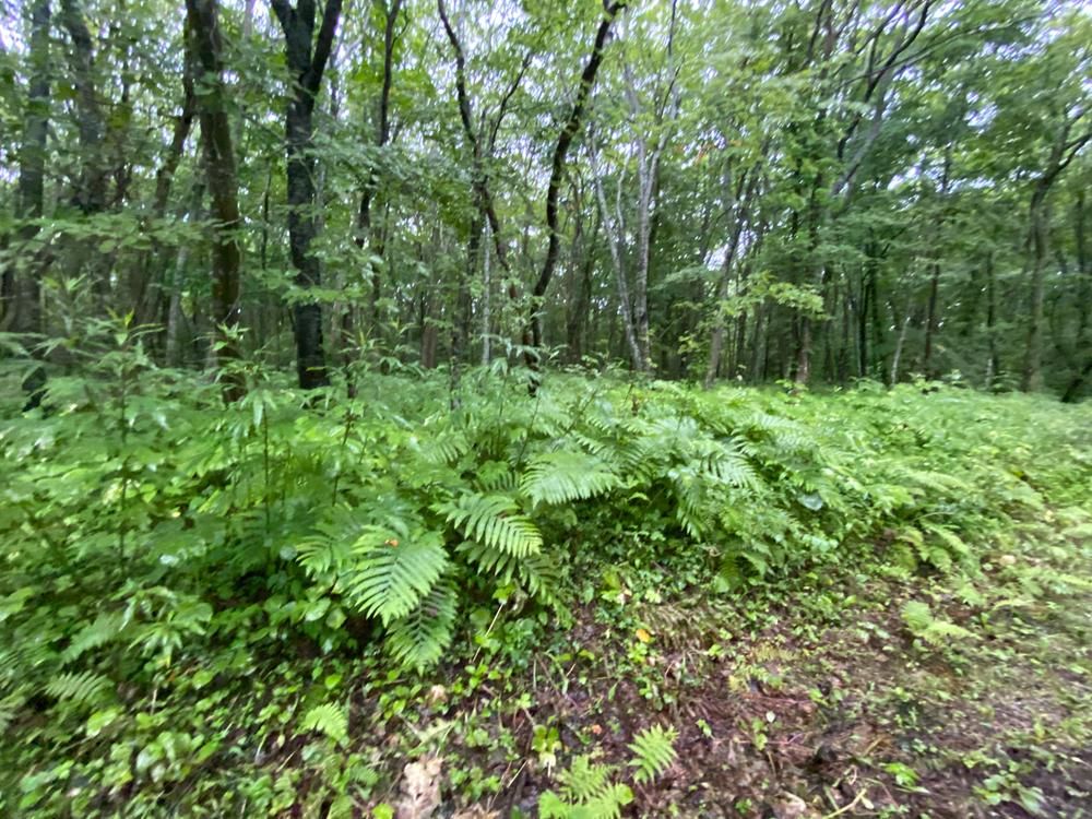 Land for Sale in Shikabe, Hokkaido - 4,378 sqm - Thumbnail 4
