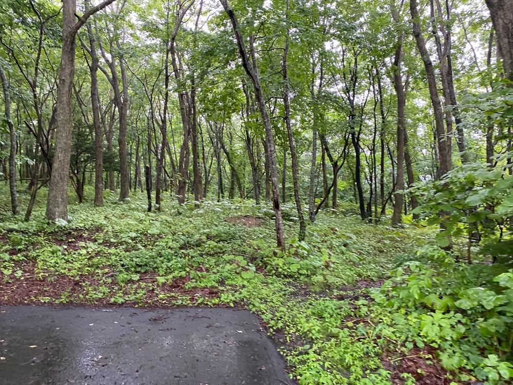 Land for Sale in Shikabe, Hokkaido - 4,378 sqm - Thumbnail 2