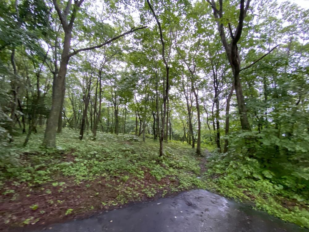 Land for Sale in Shikabe, Hokkaido - 4,378 sqm - Thumbnail 3